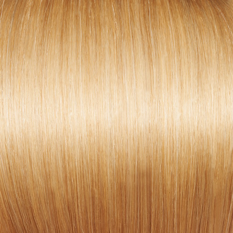 #24 GOLDEN BLONDE  - CLIP IN HAIR